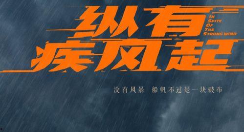 纵有疾风起,逆境中的坚韧与成长